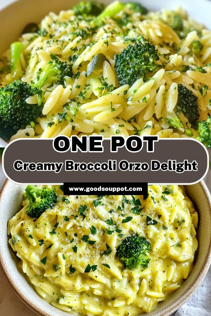 Discover this delicious creamy broccoli orzo recipe that brings together the perfect blend of flavors in just one pot! This one pot orzo pasta dish is not only easy but also a delightful vegetarian creamy pasta meal that your family will love. Ideal for a quick one pot dinner, it's ready in just 30 minutes! Try it today for a satisfying and wholesome meal that’s sure to impress. Save for later! #CreamyBroccoliOrzo #OnePotDinner #EasyMeals #VegetarianRecipes